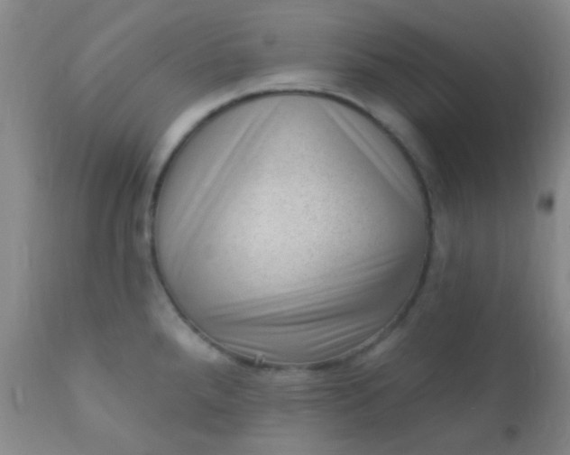 X0000110941288200907022125