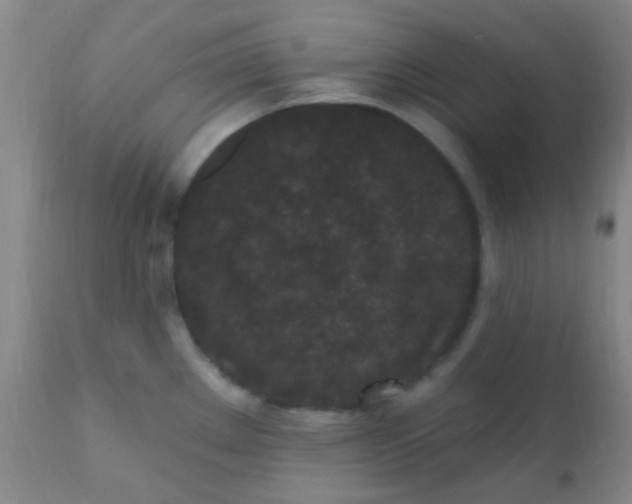 X0000110941289200907022125