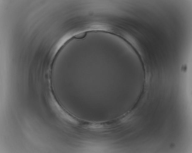 X0000110941291200907022125