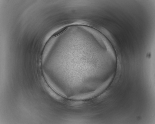 X0000110941292200907022125