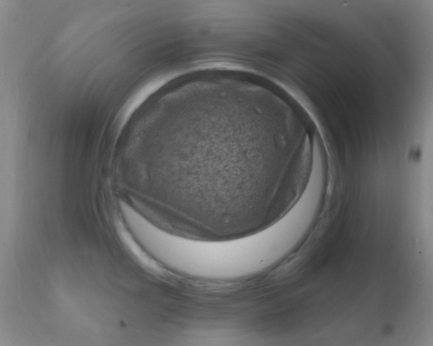 X0000110941293200907022125