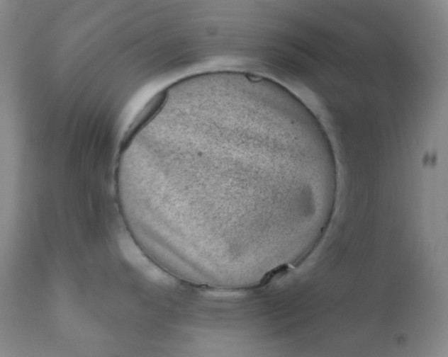 X0000110941296200907022125