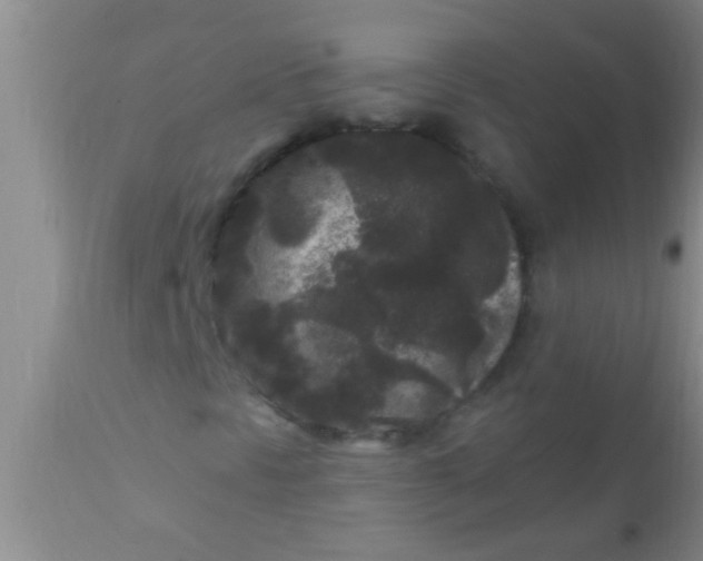 X0000110941297200907022124