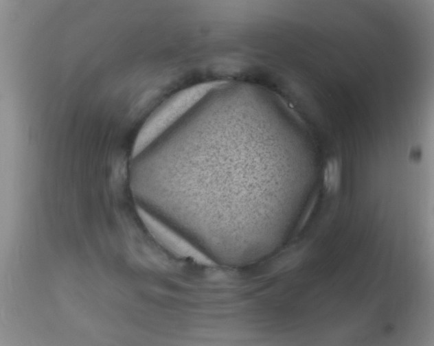 X0000110941299200907022124