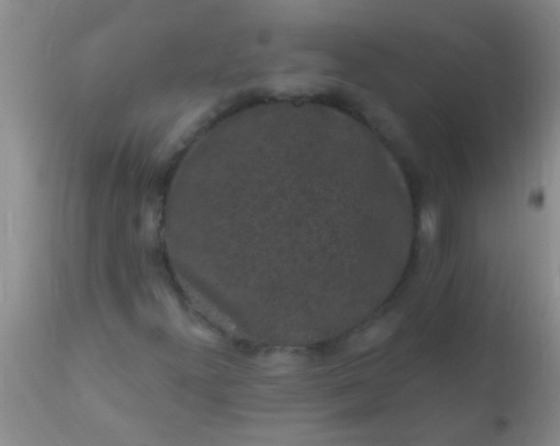 X0000110941300200907022124