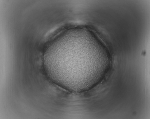 X0000110941301200907022124