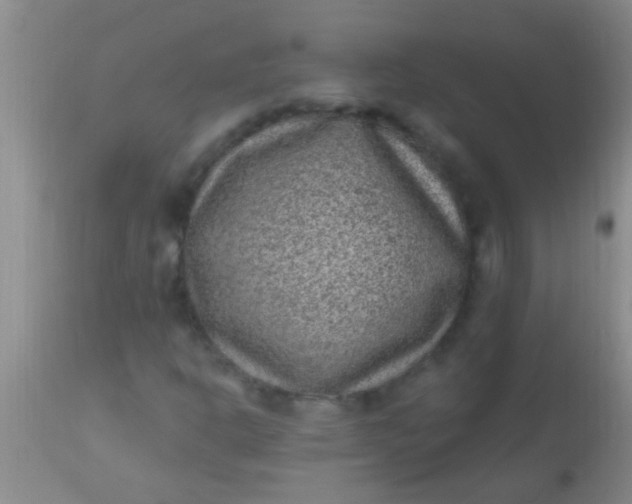 X0000110941302200907022124