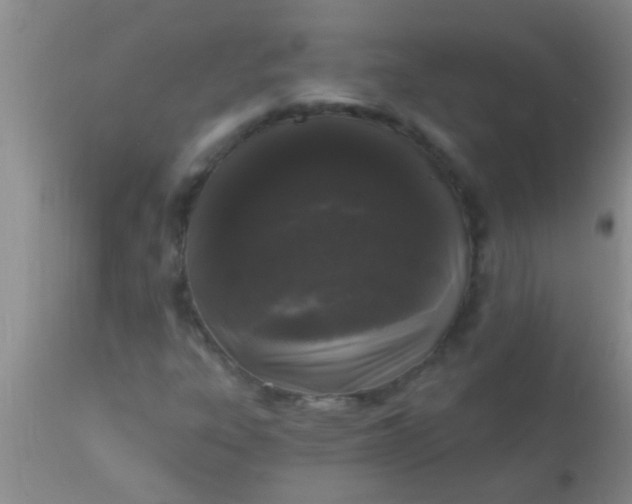 X0000110941303200907022124