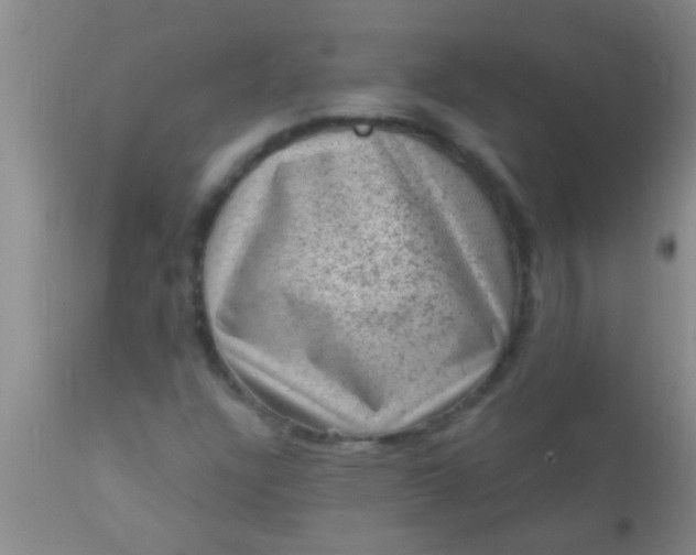 X0000110941304200907022124