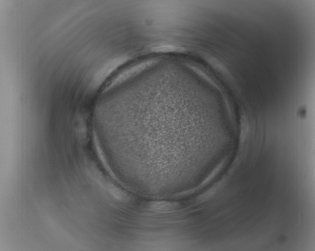 X0000110941305200907022124