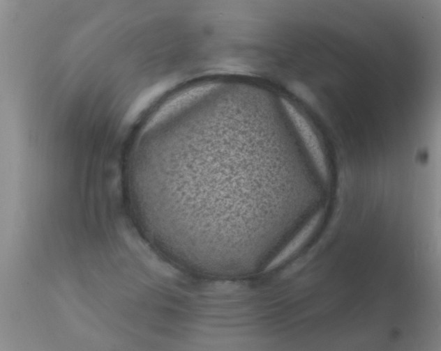 X0000110941307200907022124