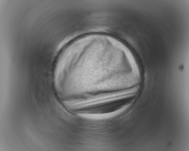 X0000110941308200907022124