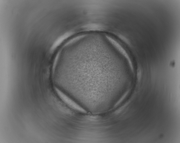 X0000110941309200907022124