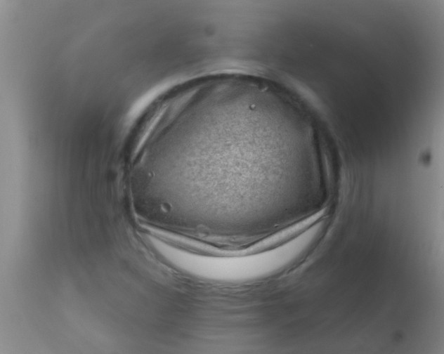 X0000110941310200907022124