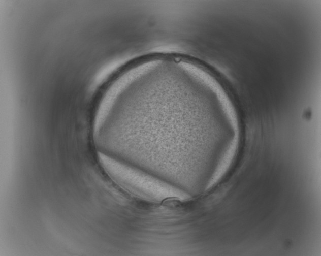 X0000110941311200907022124