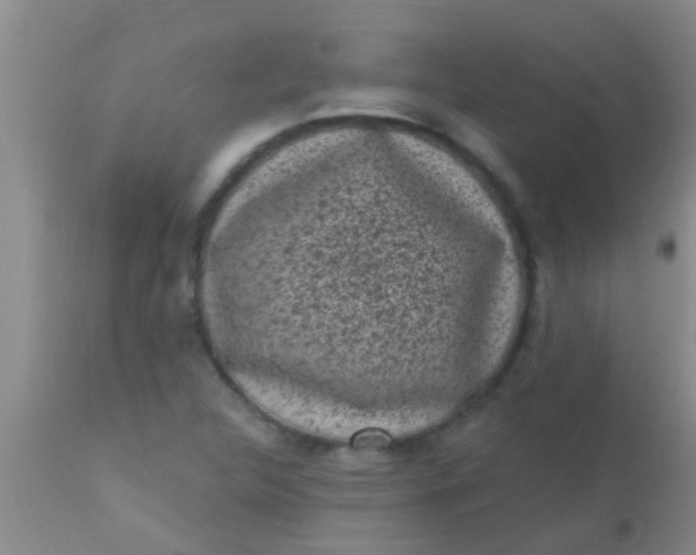 X0000110941312200907022124