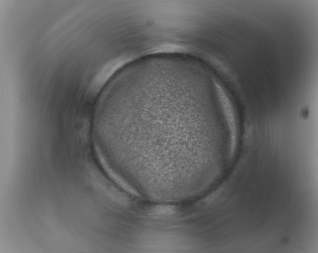 X0000110941313200907022124