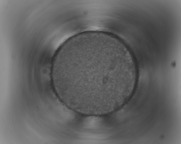 X0000110941314200907022124