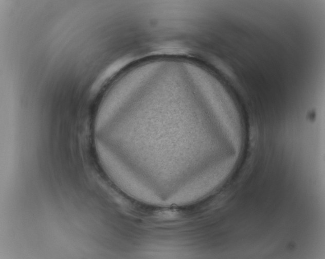 X0000110941315200907022124