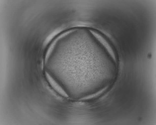 X0000110941317200907022124