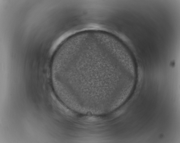 X0000110941318200907022124