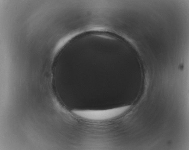 X0000110941319200907022124