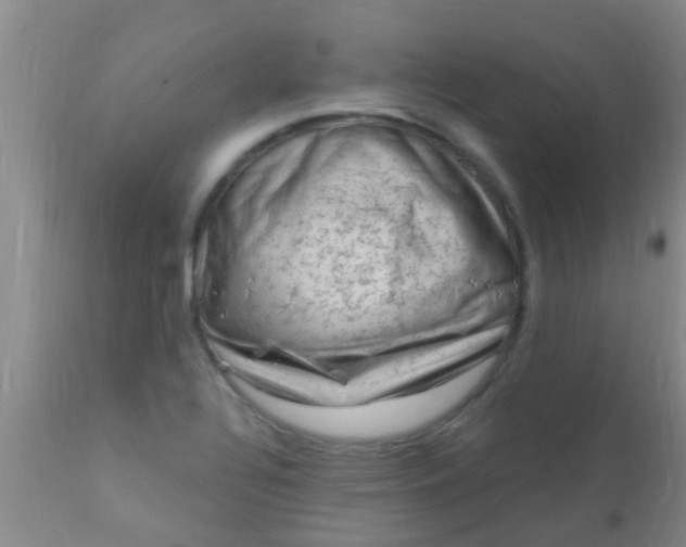 X0000110941320200907022124