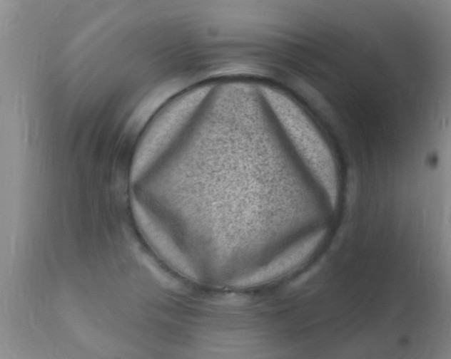 X0000110941321200907022124