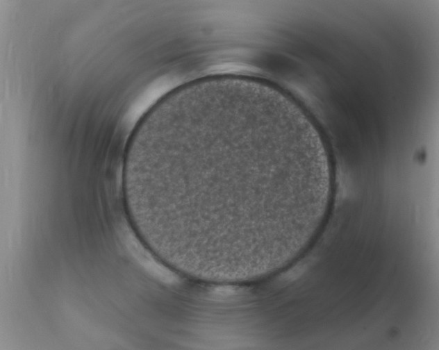 X0000110941322200907022124