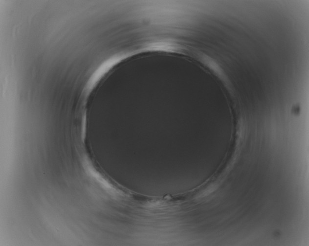 X0000110941323200907022124