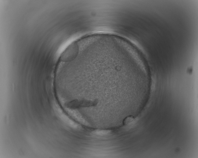 X0000110941325200907022124