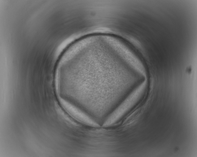 X0000110941326200907022124