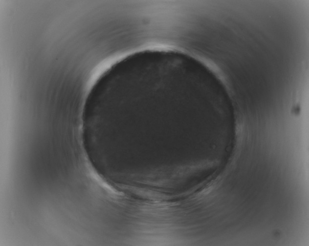 X0000110941327200907022124