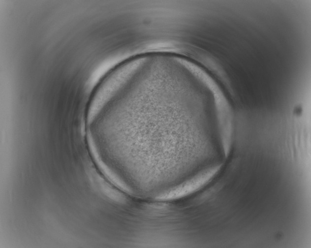 X0000110941328200907022124