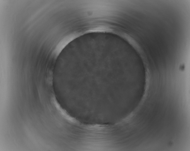 X0000110941329200907022124