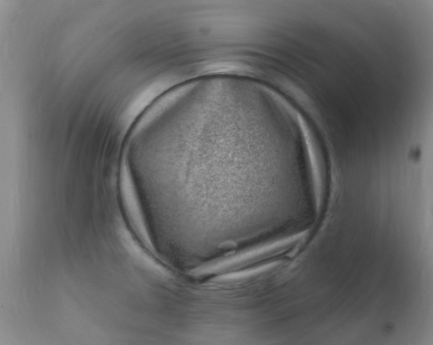 X0000110941330200907022124