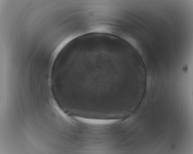 X0000110941331200907022124