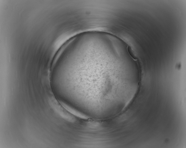 X0000110941332200907022125