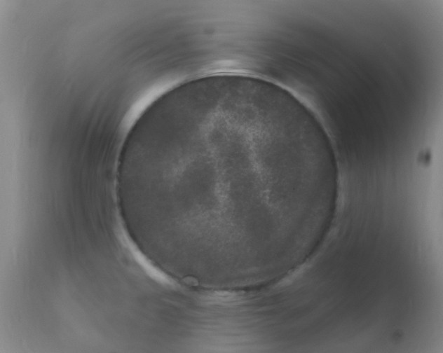 X0000110941333200907022125