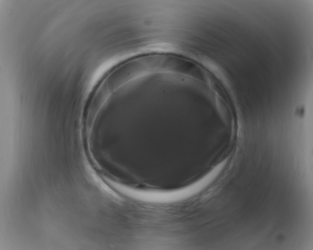 X0000110941334200907022125