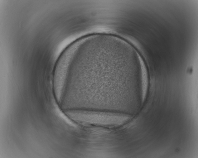 X0000110941335200907022125