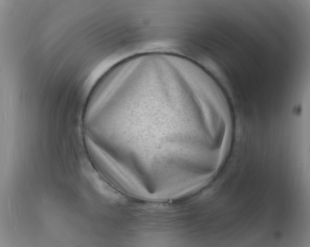 X0000110941336200907022125