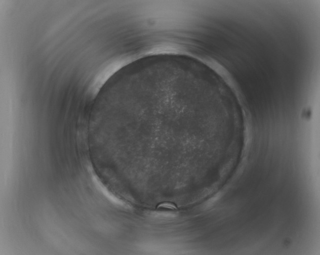 X0000110941337200907022125