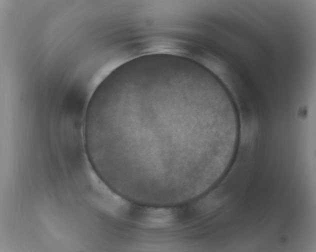 X0000110941338200907022125