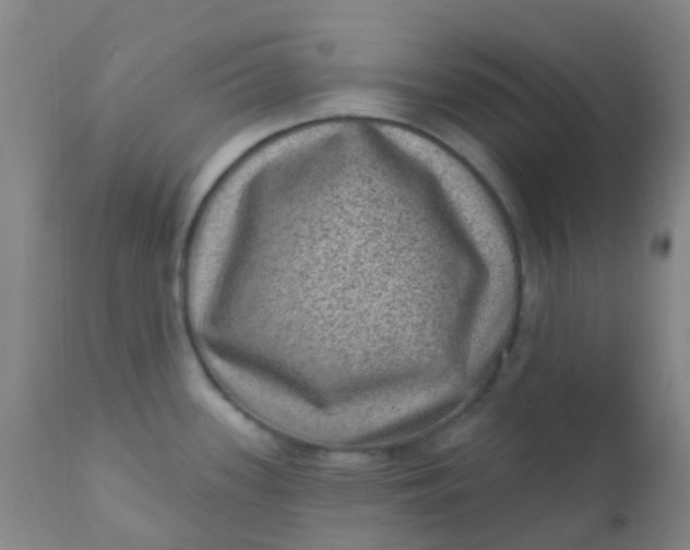 X0000110941339200907022125