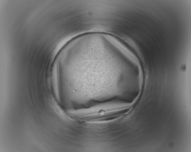 X0000110941340200907022125