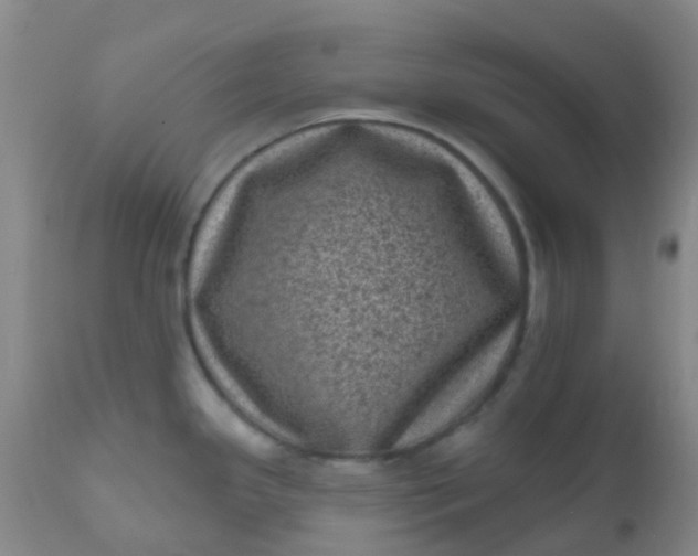 X0000110941341200907022125