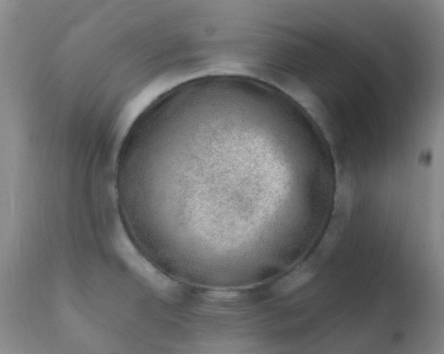 X0000110941342200907022125