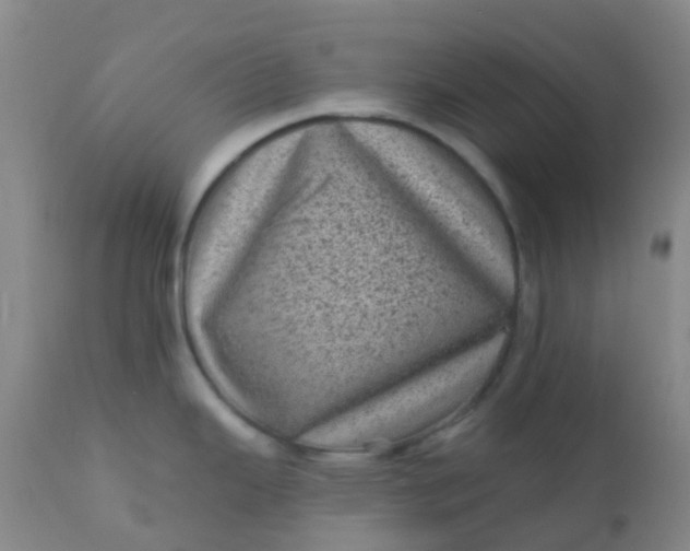 X0000110941343200907022125