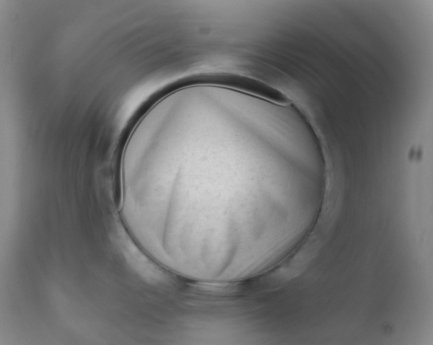 X0000110941344200907022125